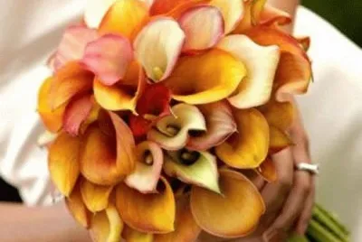 ramo naranja jigsaw puzzle