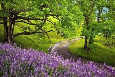 natureza