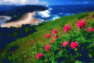 praia