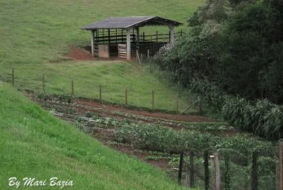 HORTA