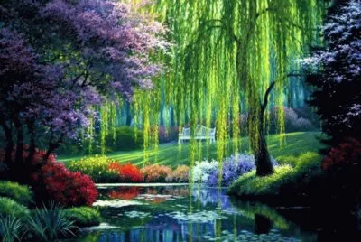 natureza