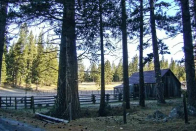 Cabin in woods CA