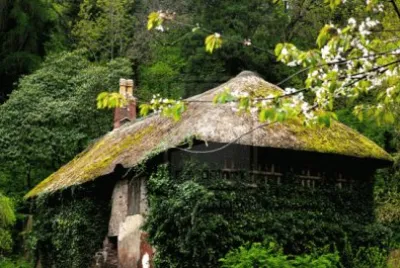 casa nel bosco
