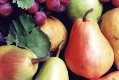 Fruits