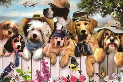 animais
