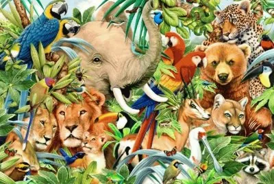 animais