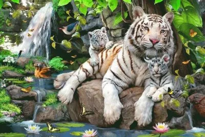 animais