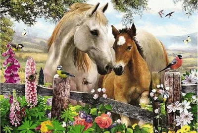 animais