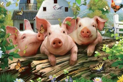 animais