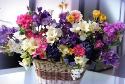 Flower Basket