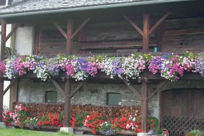 Dollach Austria