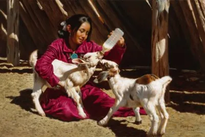 animais