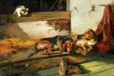 animais