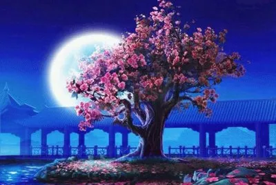 noche de luna jigsaw puzzle