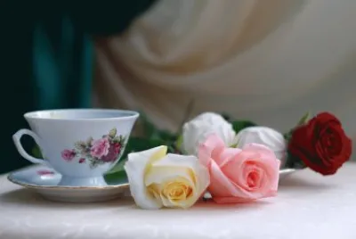Still life with tea Roses