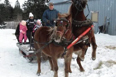 Come on dad  lets go