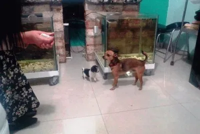 venancio e hijo