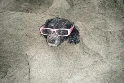 matatena en vacaciones