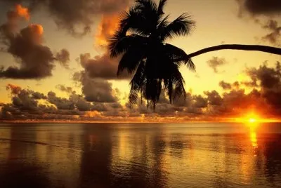 atardecer