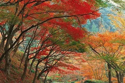 otoÃ±o