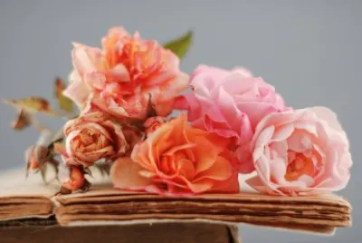 roses