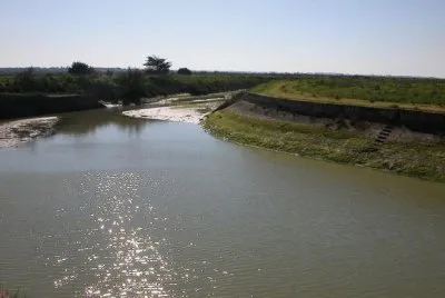 MARSU