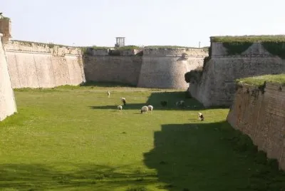 MARSU