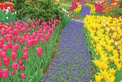 Springflowers jigsaw puzzle
