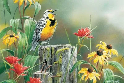Meadowlark jigsaw puzzle