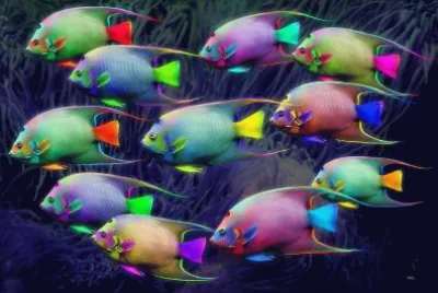 In the Pandorian Sea jigsaw puzzle