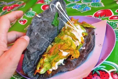 tacoss   joveenn