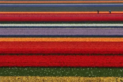 colors