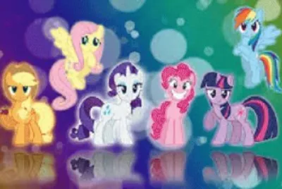 pony
