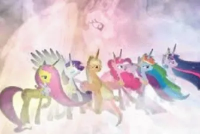 pony