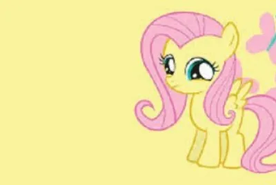 pony