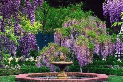 paysage