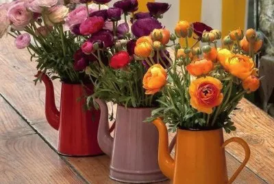 פאזל של Bules com Flores