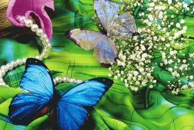 Butterfly and Pearls
