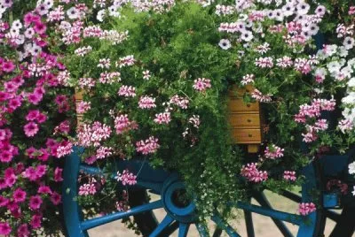 Colorful Flower Cart