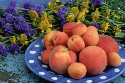 Peaches and Flowers