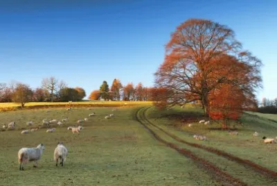 frosty Cotswold morning