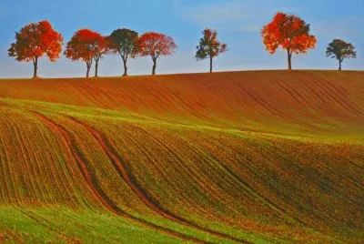 Campagna Umbra jigsaw puzzle