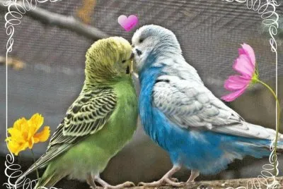 פאזל של Love