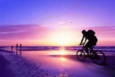 å¤•é™½ jigsaw puzzle