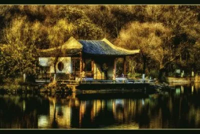 jardin japonais