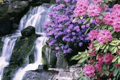 Waterfall