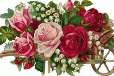 General jigsaw puzzle