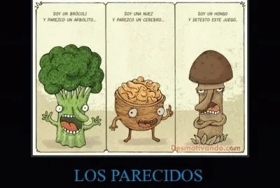 Parecidos