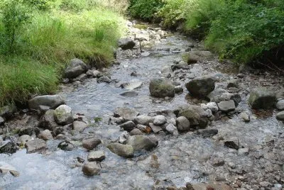RUISSEAU DE C