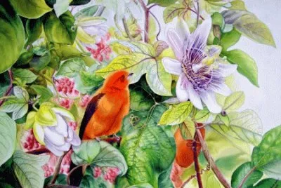 Spring Bird